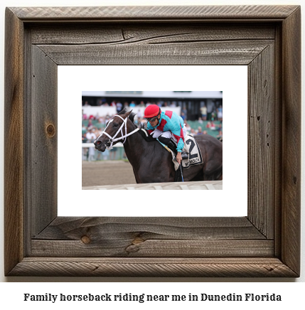 family horseback riding near me in Dunedin, Florida